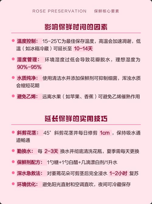 玫瑰花夏天怎么保存?3个关键步骤让花期延长5天 修剪与去叶系统指导(保鲜导向)