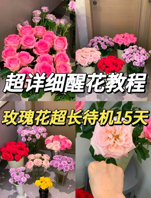 玫瑰花夏天怎么保存?3个关键步骤让花期延长5天 常见误区与纠正