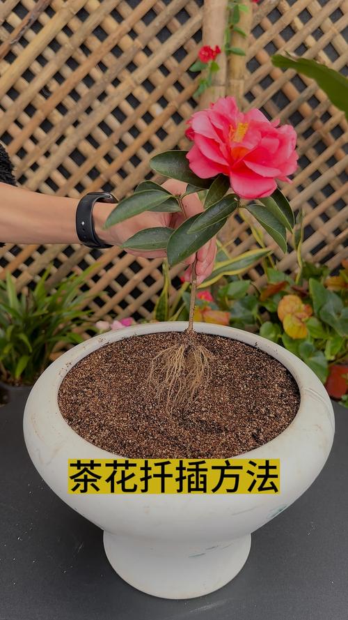新手最容易犯的3个错误