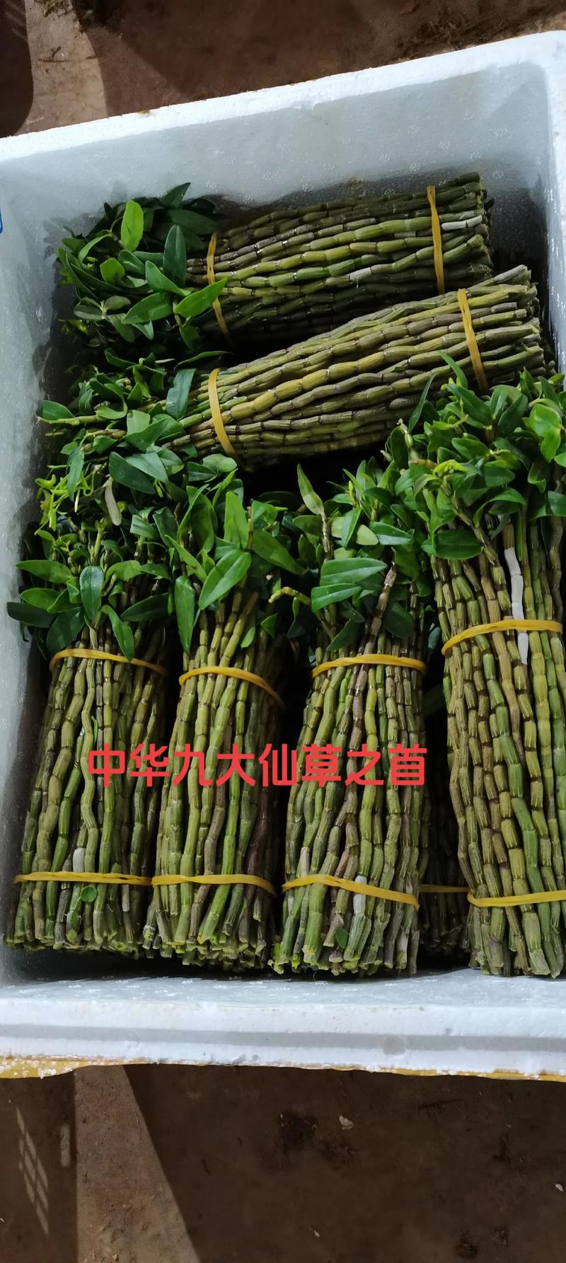 石斛花多少钱一克?铁皮品种价格参考与影响因素解析 数量:采购量级决定批发折扣