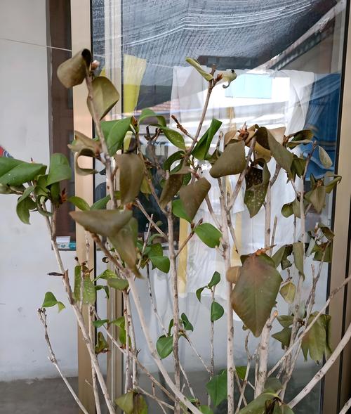 分步排查清单