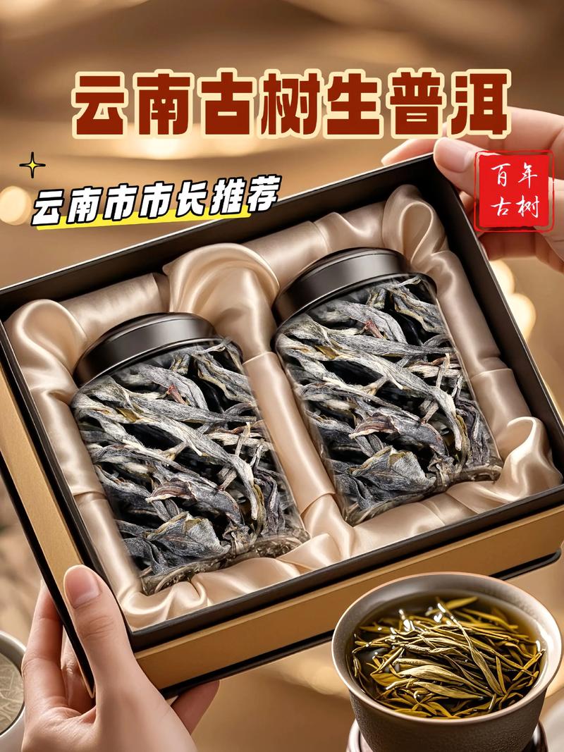云南古树茶价格多少钱一斤?树龄、产地、季节影响报价 云南古树茶价格多少钱一斤?树龄、产地、季节影响报价