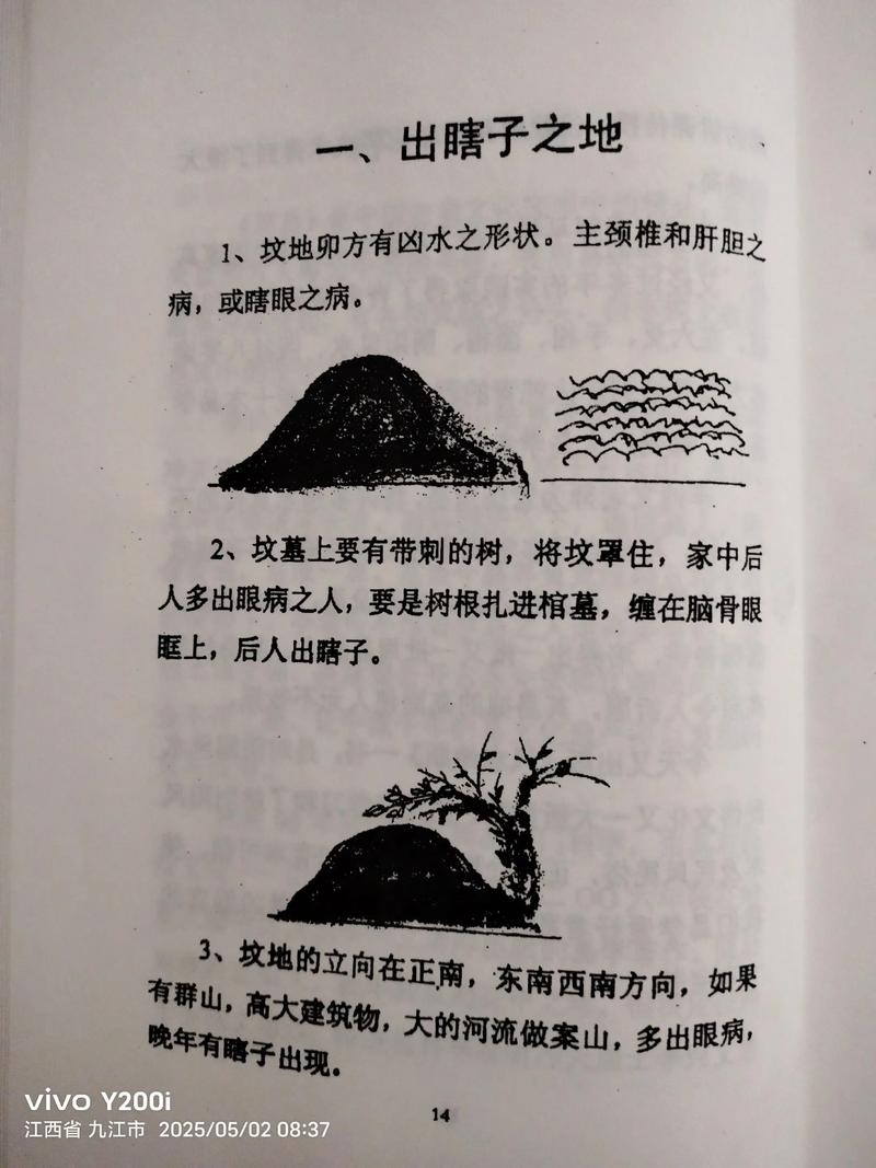 坟头柳树活了好不好?从民俗寓意到园艺养护的全面解析 二、柳树存活情况的吉凶寓意