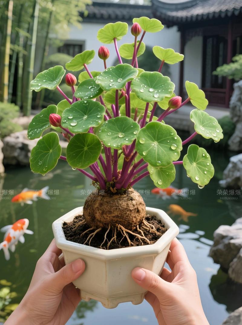 总结