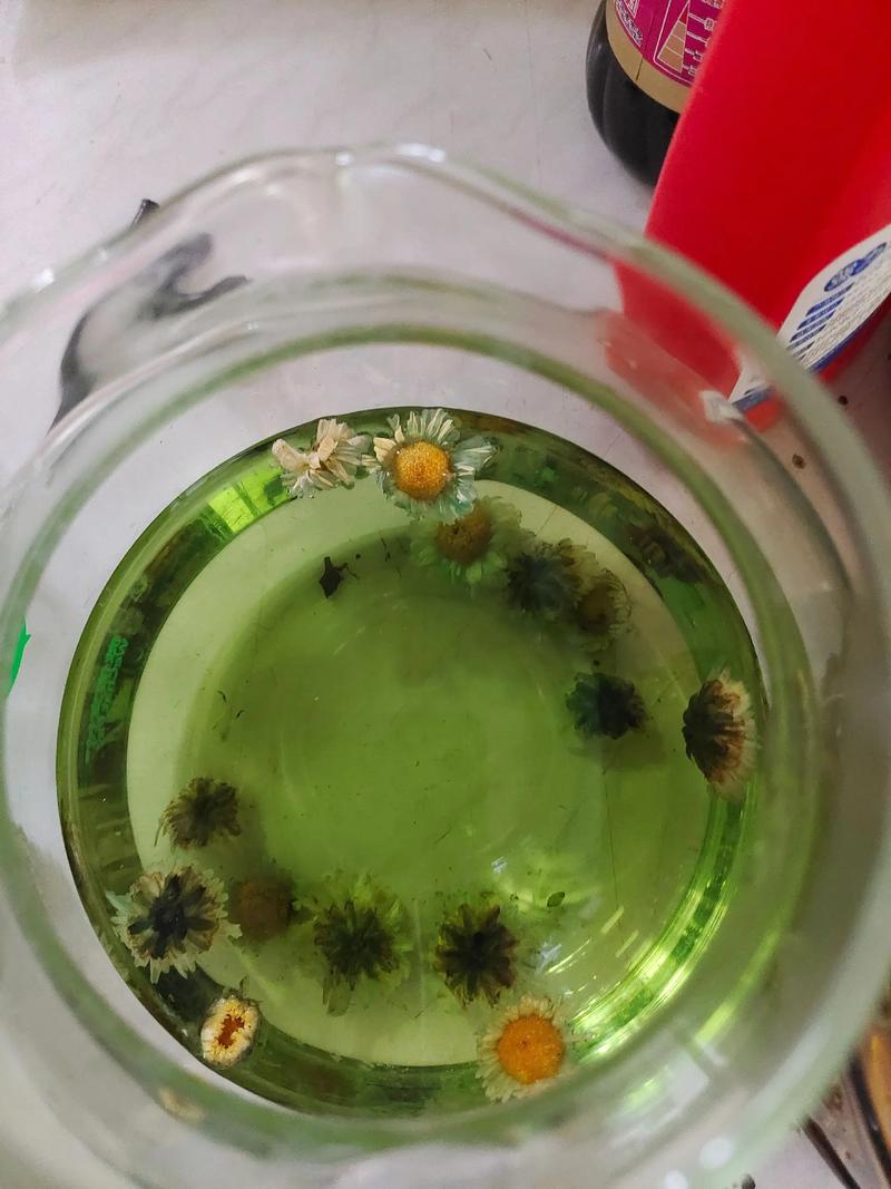 菊花泡水后为什么变绿?是变质还是正常现象? 菊花泡水变绿,主要有这几种原因