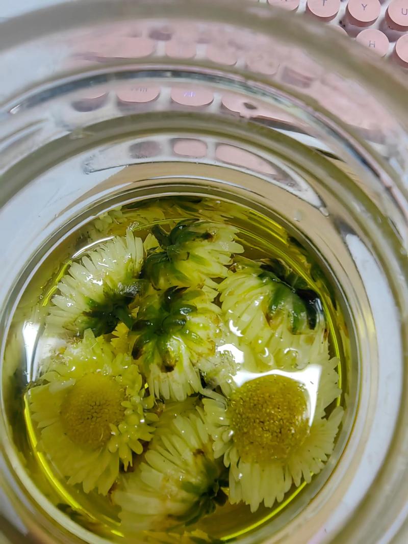 菊花泡水后为什么变绿?是变质还是正常现象? 安全性声明:这些情况需要警惕