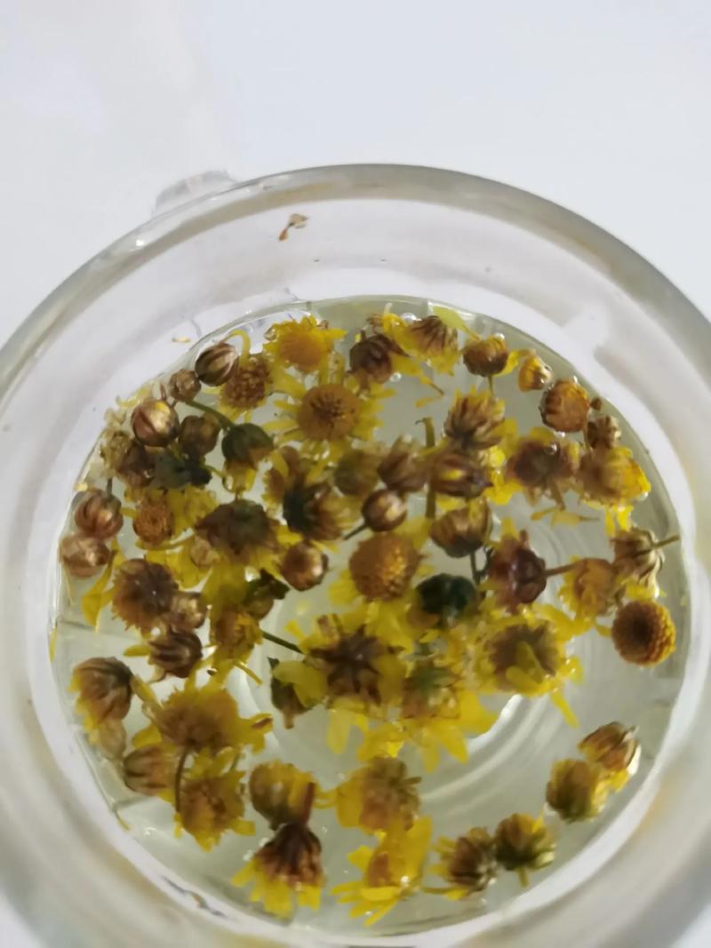 菊花泡水后为什么变绿?是变质还是正常现象? 教你简单判断菊花茶是否安全