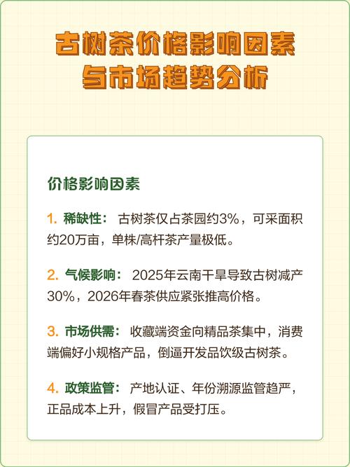 单株古树茶价格解析:一般多少钱一斤?行情参考与影响因素 三、季节因素:头春单株价格最高