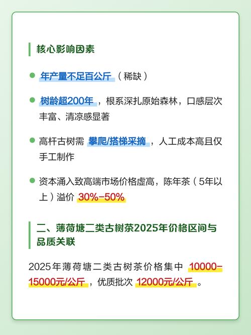 单株古树茶价格解析:一般多少钱一斤?行情参考与影响因素 常见问题(FAQ)