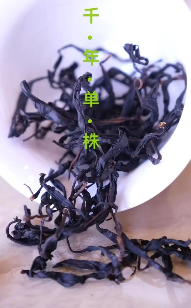 单株古树茶价格解析:一般多少钱一斤?行情参考与影响因素 综合对比参考