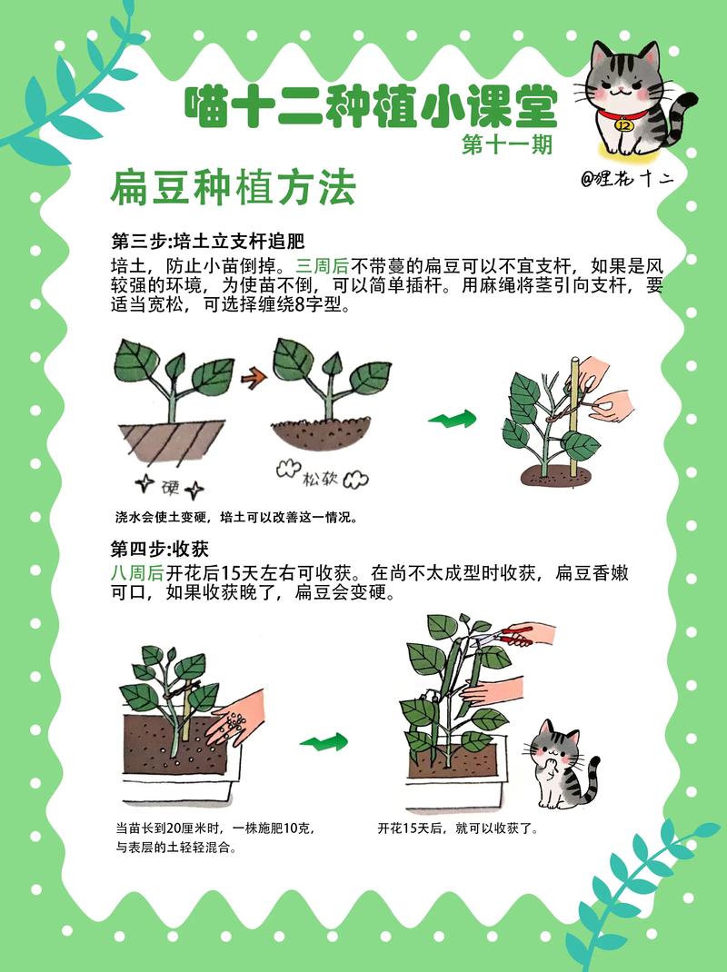 大豆种植技术指南:适宜区域与全流程操作规范 三、播种前种子处理