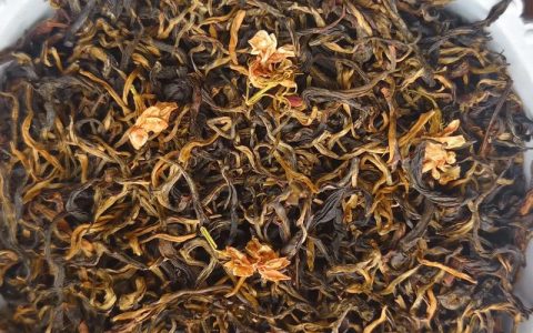 滇红茉莉花茶是什么茶——从茉莉花植物说起