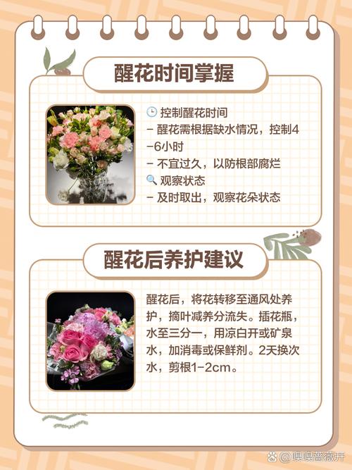 鲜切花怎么处理?从醒花到日常养护的完整指南 插瓶前清理叶片和花茎