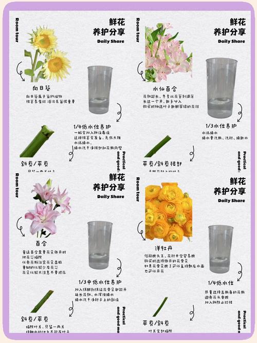 鲜切花怎么处理?从醒花到日常养护的完整指南 第一步是深水醒花
