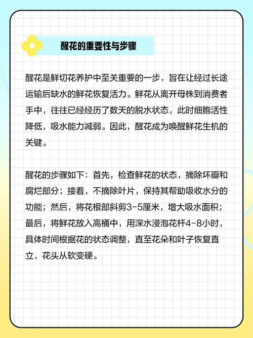 鲜切花怎么处理?从醒花到日常养护的完整指南 花瓶和水也要讲究