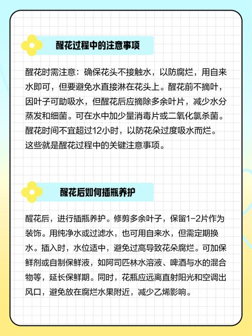 鲜切花怎么处理?从醒花到日常养护的完整指南 常见错误要避免