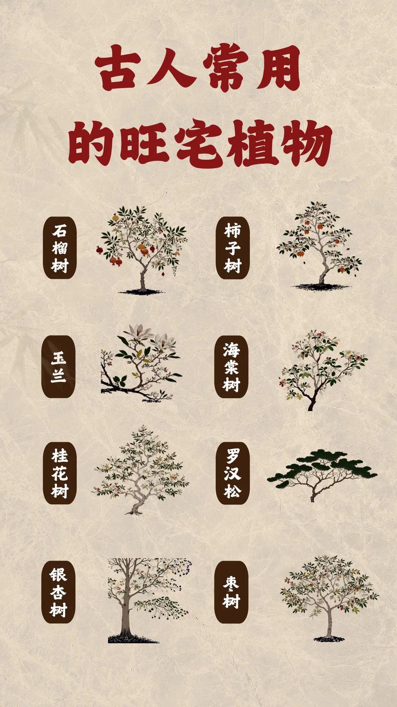 古代生女儿种什么树:香樟、石榴与桂花背后的园艺与祝福 石榴与枣树:多子多福的“吉祥树”