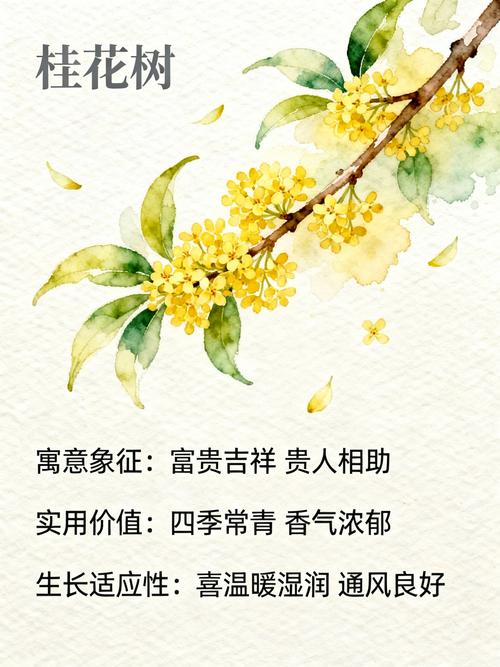 古代生女儿种什么树:香樟、石榴与桂花背后的园艺与祝福 树木背后的园艺智慧与情感传承