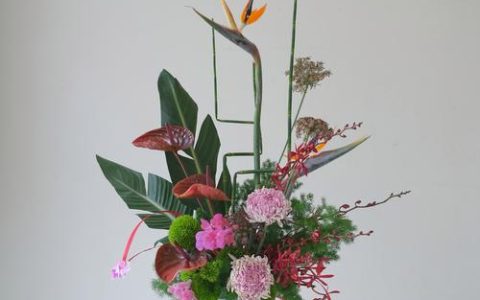 怎么插花好看？从零开始的插花美学指南