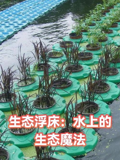 水生植物浮床多少钱?2026年价格参考与五大影响因素详解 产地:南北差价约10%-20%
