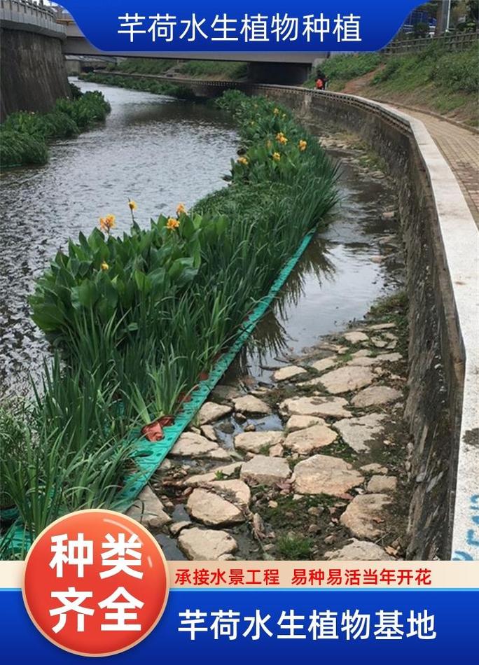 水生植物浮床多少钱?2026年价格参考与五大影响因素详解 运输:物流成本占比10%-30%