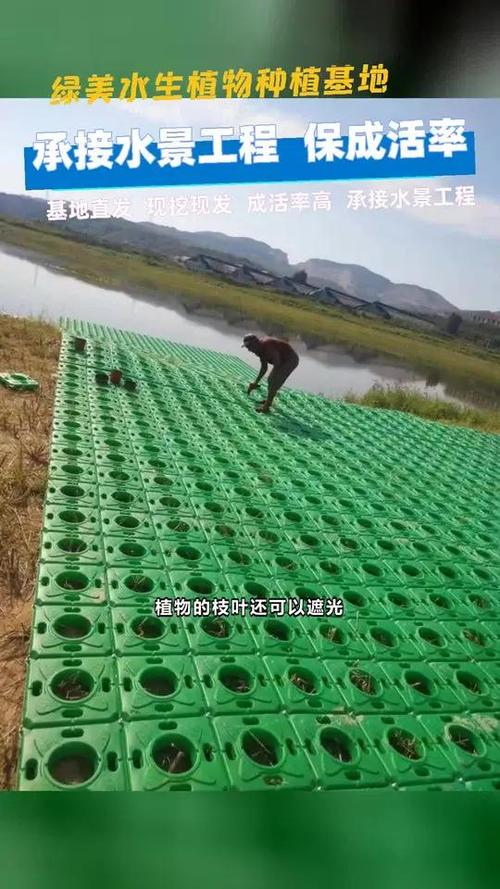 水生植物浮床多少钱?2026年价格参考与五大影响因素详解 季节:淡旺季价差可达30%