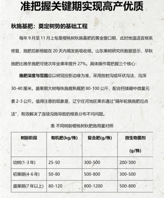 樱桃树秋季施肥全攻略：掌握黄金时间，为来年丰收打下基础