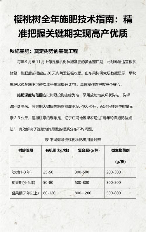 樱桃树秋季施肥：抓住9月至10月黄金窗口，储备来年开花结果能量