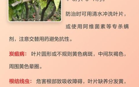 桔子树黄叶是什么原因？家庭园艺诊断与防治完整指南