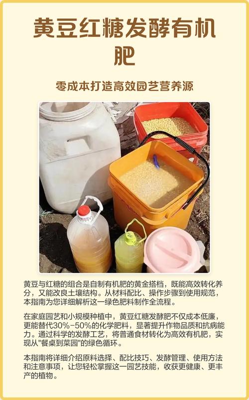 如何发酵黄豆做有机肥? 发酵步骤