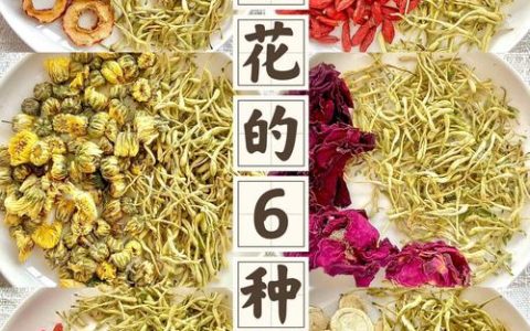 金银花怎么喝才正确？四季养生中的清热解毒好选择