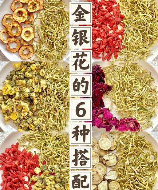 金银花怎么喝才正确？四季养生中的清热解毒好选择
