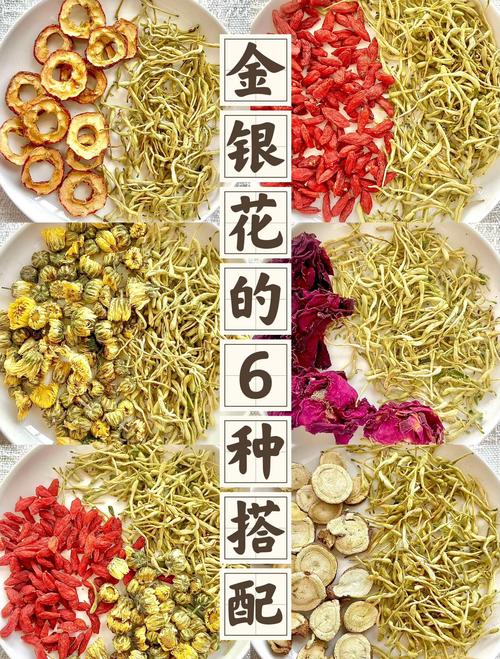 金银花怎么喝才正确?四季养生中的清热解毒好选择 一、认识金银花的功效与特性