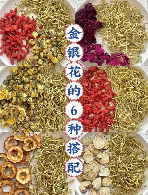 金银花怎么喝才正确?四季养生中的清热解毒好选择 五、饮用时机与适宜人群