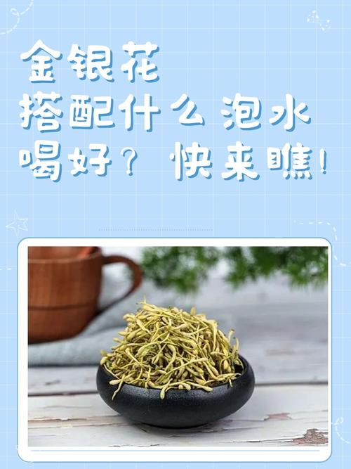 金银花怎么喝才正确?四季养生中的清热解毒好选择 六、常见误区与注意事项