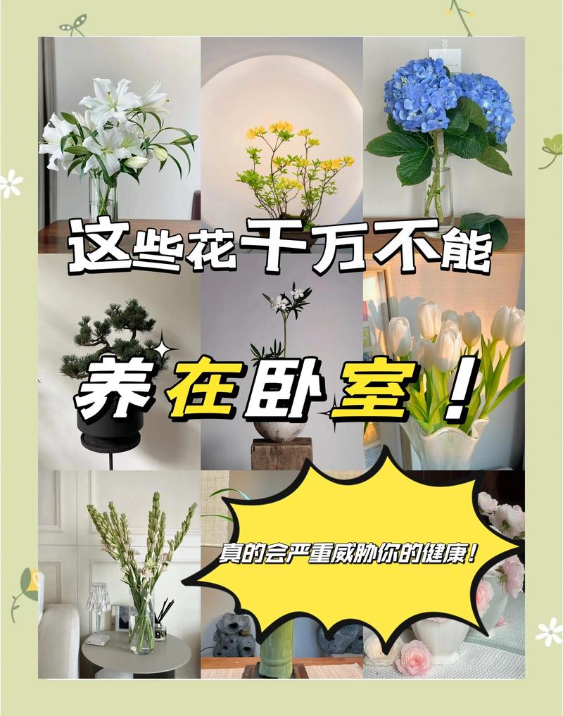 家中养花多了好不好?利弊分析与科学建议 一、养花多了,是享受还是负担?