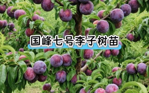 重庆果苗批发市场在哪里？——采购渠道分析与科学选购指南