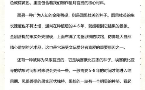 菩提树什么时候结果？果期、养护与促果全攻略