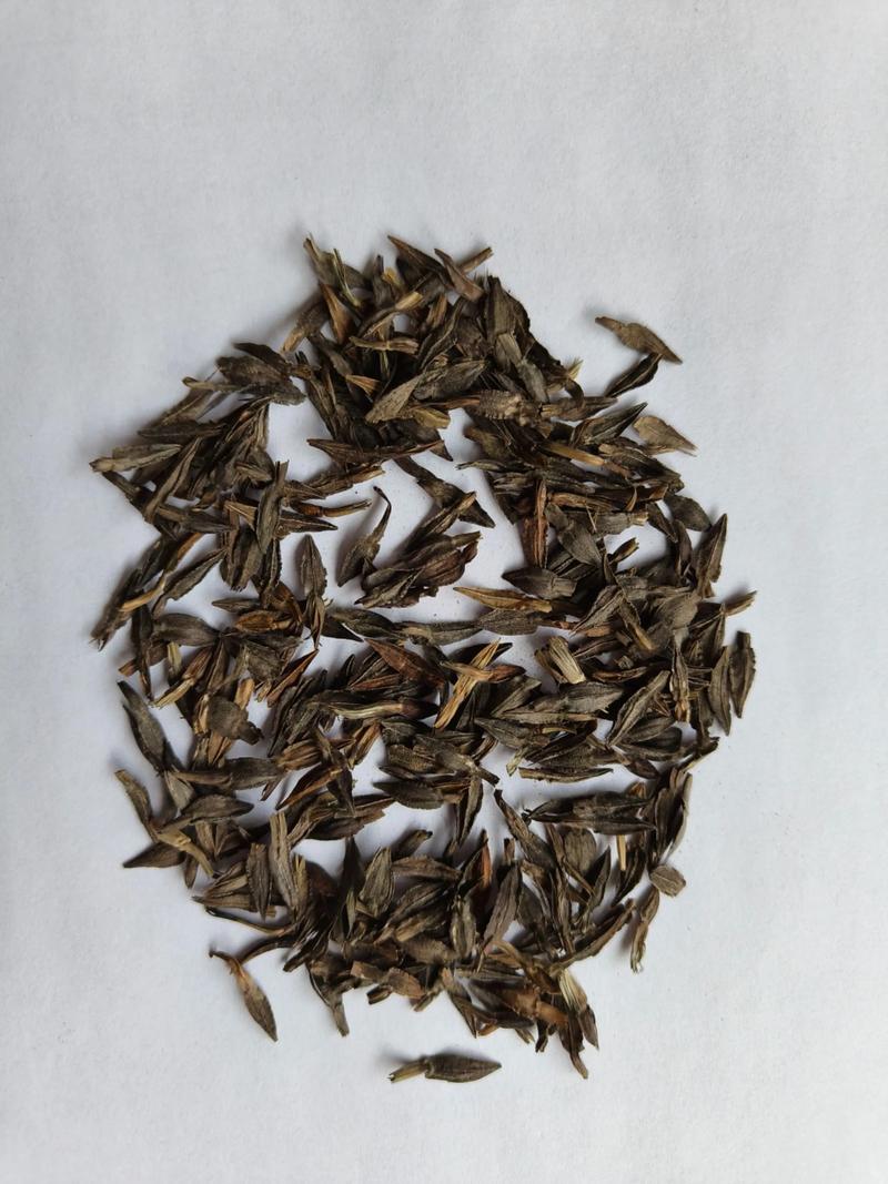 百日草种子采购渠道评估指南:如何辨别优质供应商与规避假种风险 百日草种子采购渠道评估指南:如何辨别优质供应商与规避假种风险