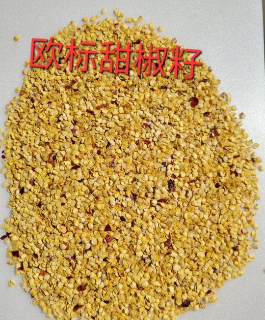 辣椒种子价格全解析：一公斤多少钱？五大因素决定报价