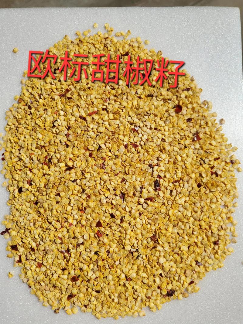 辣椒种子价格全解析:一公斤多少钱?五大因素决定报价 规格:品种与纯度决定价格起点