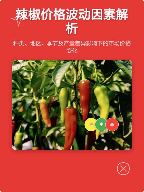辣椒种子价格全解析:一公斤多少钱?五大因素决定报价 常见问题(FAQ)