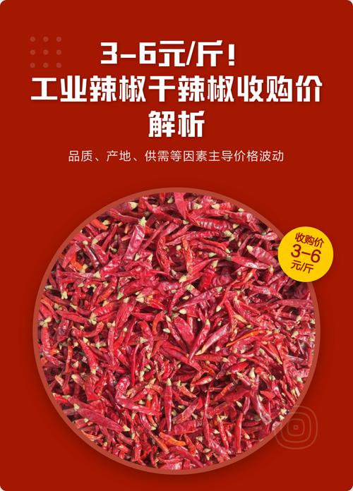 辣椒种子价格全解析:一公斤多少钱?五大因素决定报价 价格区间与影响因素一览表