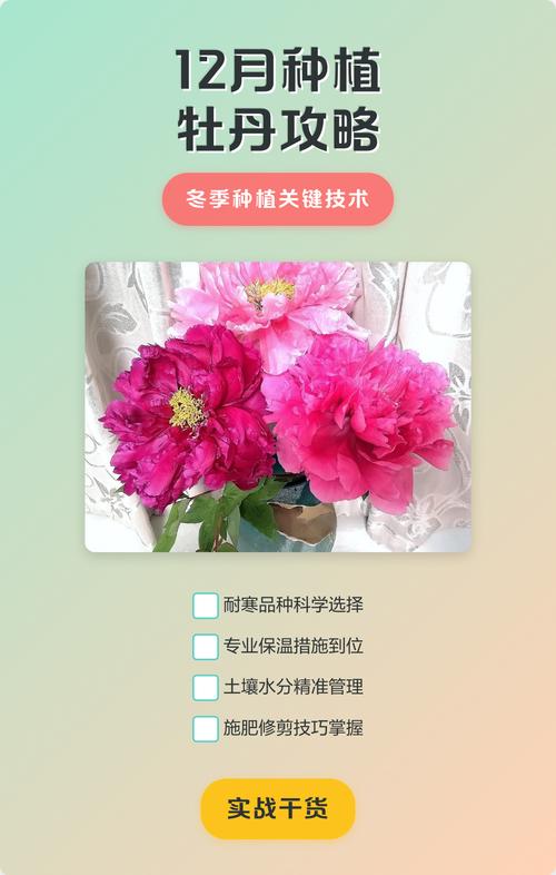 12月份还能种牡丹吗?掌握这几点,冬天栽种也能活 二、土壤环境:冬季种植,排水是第一要务