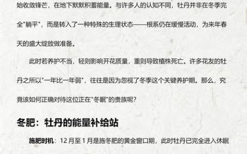 12月份还能种牡丹吗？掌握这几点，冬天栽种也能活