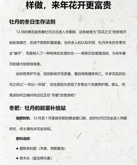 12月份还能种牡丹吗？掌握这几点，冬天栽种也能活