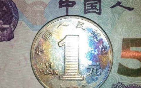 菊花家庭盆栽养护全攻略：光照水肥修剪促开花