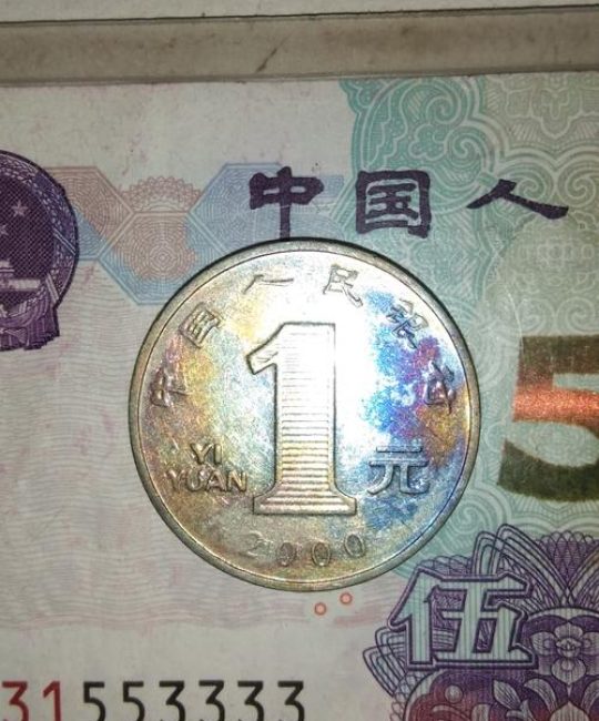 菊花家庭盆栽养护全攻略：光照水肥修剪促开花