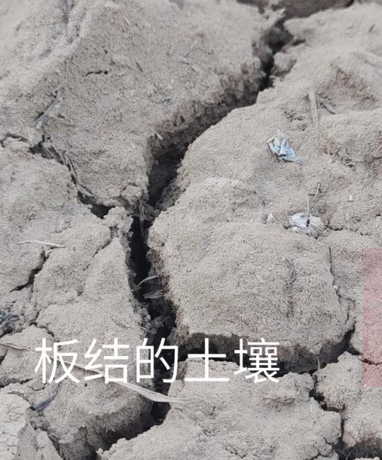 板结土质如何改良松软？家庭园艺必备的5种有效方法
