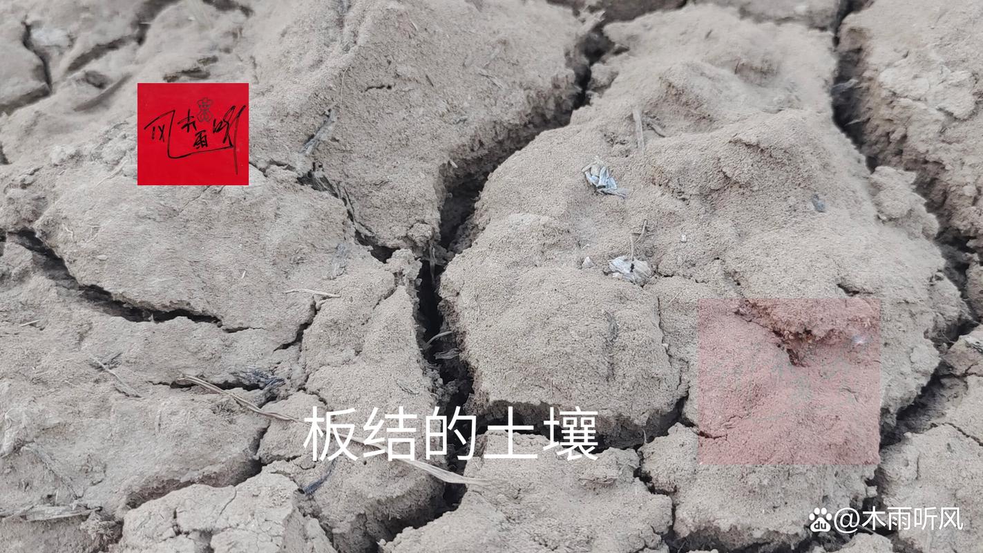 板结土质如何改良松软?家庭园艺必备的5种有效方法 板结土质如何改良松软?家庭园艺必备的5种有效方法